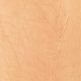 texture: native_pear